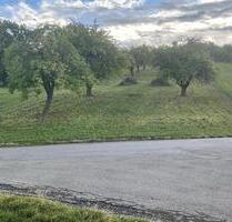 Freizeitgrundstück mit Apfelbäumen Sonnenlage Stuttgart Esslingen - Esslingen am Neckar Brühl