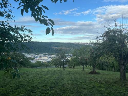 Foto - Grundst&uuml;ck zum Kaufen in Esslingen am Neckar