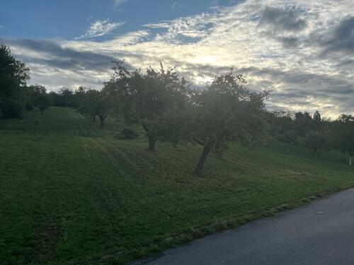 Foto - Grundst&uuml;ck in Esslingen am Neckar zum Kaufen