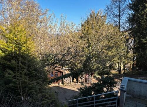 Foto - 1 Zimmer Etagenwohnung zur Miete in Freiburg im Breisgau