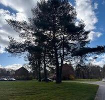 3 ZKB Balkon, EBK mit Geschirrspüler, Bahnhofsnähe - Hambergen