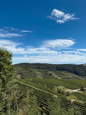 Foto - Wohnung für April zu vermieten - 1.000,00&nbsp;EUR Kaltmiete, ca.&nbsp; 55,00&nbsp;m&sup2;