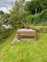 Foto - andere in Kempenich