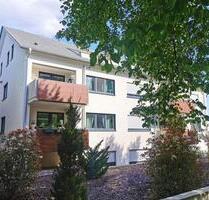 Wunderschöne 2-Zimmer-Dachgeschosswohnung in top Lage zu vermieten! - Willstätt