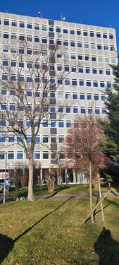 Foto - BÜRO ZU VERMIETEN - 780,00&nbsp;EUR Kaltmiete, ca.&nbsp; 50,00&nbsp;m&sup2;