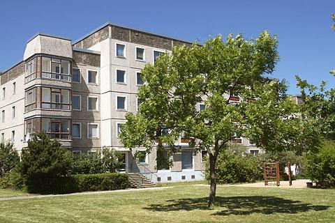 Foto - 1 Zimmer Etagenwohnung zur Miete in Dessau-Roßlau