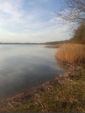 Foto - Grundst&uuml;ck in Eldetal