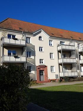 Foto - Ankommen in Wittenberg - elbnah im grünen wohnen!