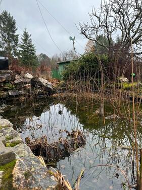 Foto - 5 Zimmer Einfamilienhaus in Birkenfeld