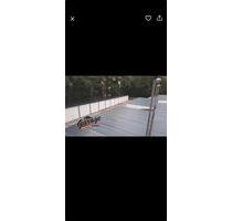 Garage zu Vermieten (in Celle) - 150,00&nbsp;EUR Miete, in Wathlingen (PLZ: 29339)