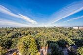 Foto - EXKLUSIVES 3-ZI.-HIGH-END-APARTMENT - mit 270 Grad Traumblick über den TIERGARTEN !