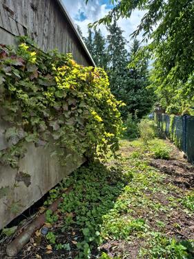 Foto - Grundstück in Stendal