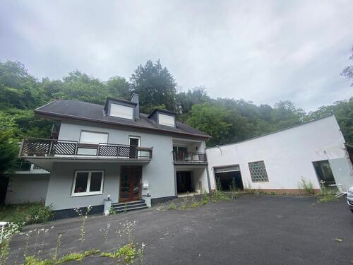 Foto - 2 Häuser +Halle- Alleinlage am Rhein-Grundstück 5117qm Wofl 480qm