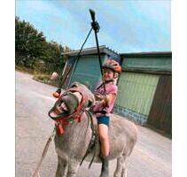 FerienwohnungMonteurzimmerLast Minute Urlaub mit Hund - Hanerau-Hademarschen