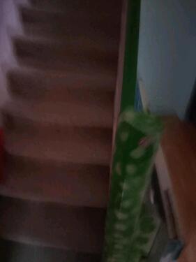 Foto - Einfamilienhaus zu verkaufen privat