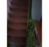 Einfamilienhaus zu verkaufen privat - Mönchengladbach Süd