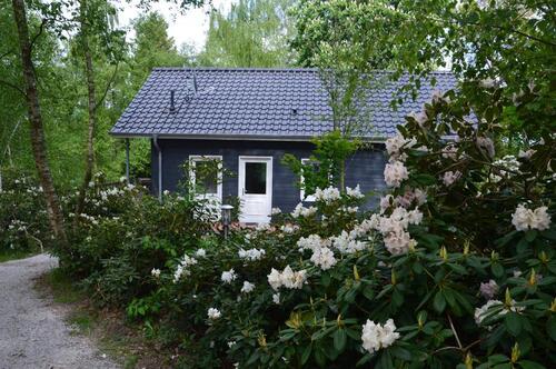 Foto - 295,00&nbsp;EUR Kaltmiete,