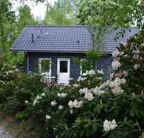 295,00 EUR Kaltmiete, in Wiefelstede (PLZ: 26215) 295,00 EUR Kaltmiete, in Wiefelstede (PLZ: 26215)
