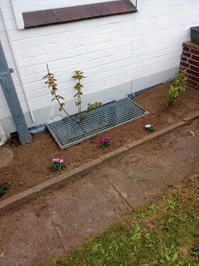 Foto - 4 Zimmer Erdgeschoßwohnung zur Miete in Hemmingstedt