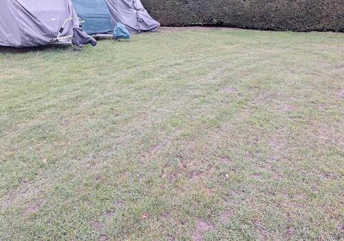 Foto - andere in Rosengarten