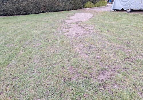 Foto - andere in Rosengarten zur Miete