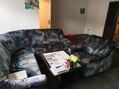 Foto - 1 Zimmer Erdgeschoßwohnung zur Miete in Hagen am Teutoburger Wald