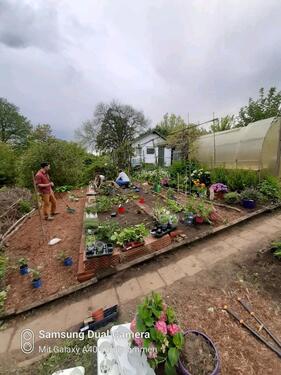 Foto - MikrofarmFreizeitgrundstück - 80,00&nbsp;EUR Kaltmiete, ca.&nbsp; 0,00&nbsp;m&sup2;