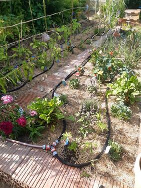 Foto - Grundst&uuml;ck in Düsseldorf