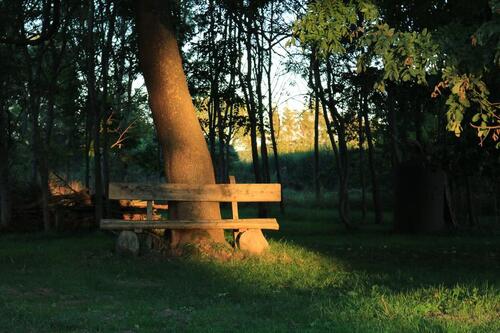 Foto - andere in Gransebieth