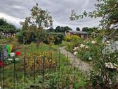 Foto - Garten in schöner Lage in Leipzig-Wahren abzugeben