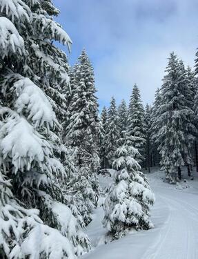 Foto - Haus zu vermieten - 750,00&nbsp;EUR Kaltmiete, ca.&nbsp; 131,00&nbsp;m&sup2;