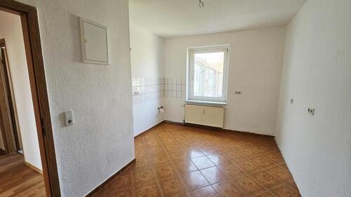 Foto - *Frühlingszeit-jetzt Wurzel schlagen*