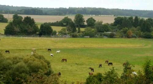 Foto - 3 Zimmer Etagenwohnung zum Kaufen in Taunusstein