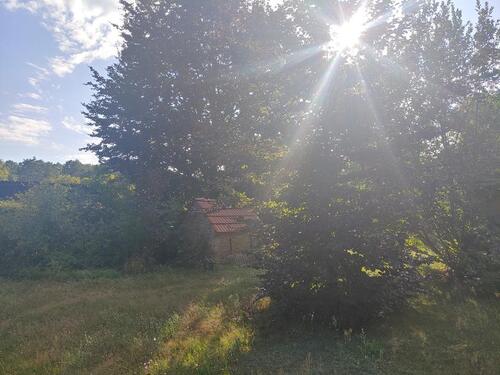 Foto - Bauernhaus, Landhaus in Heidesee zum Kaufen