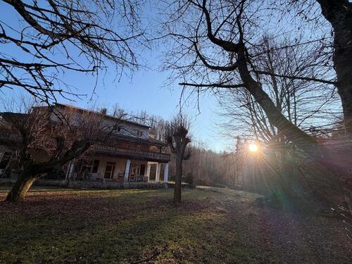 Foto - 1 Zi, Küche, Bad in Waldhaus in der Natur mit Tieren & Werkstatt