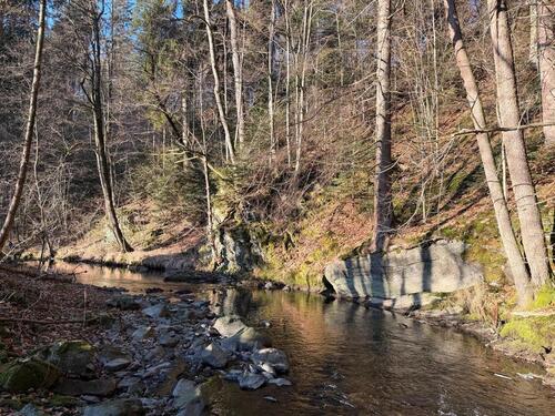 Foto - 1 Zimmer Terrassenwohnung in Bad Berneck im Fichtelgebirge