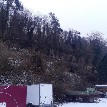 Foto - Grundstück zur Miete in Triefenstein