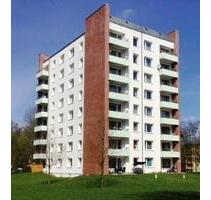 Frisch saniert! 2,5-Zi.-Wohnung - Hamburg Eidelstedt
