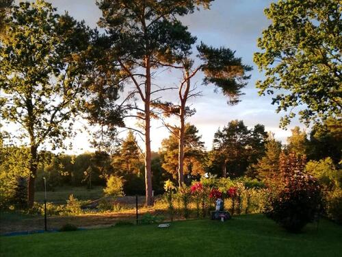 Foto - 2 Zimmer Bungalow in Rathenow