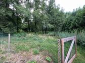 Foto - ca. 3000m2 Grundstück z.B. für Pferde PachtenMieten