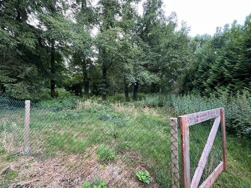 Foto - ca. 3000m2 Grundstück z.B. für Pferde PachtenMieten