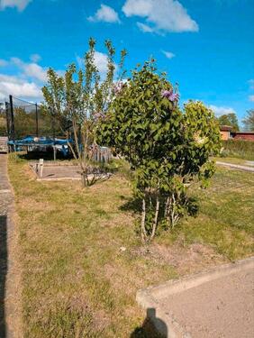 Foto - Grundst&uuml;ck in Braunschweig