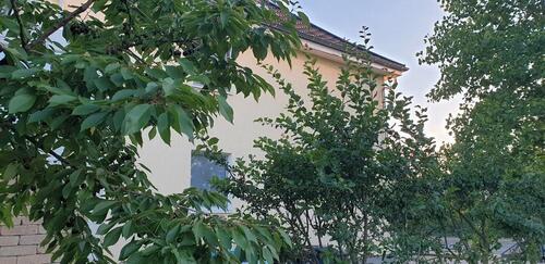 Foto - WOHN- UND GESCHÄFTSANWESEN – GROSSZÜGIG LEBEN UND ARBEITEN