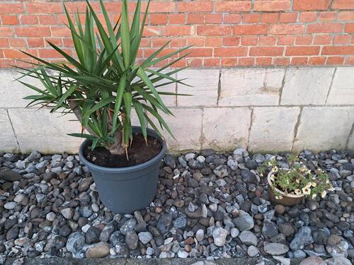 Foto - Stein - Garten - Haus - Hof - 150,00 EUR Kaltmiete, ca.  0,00 m²