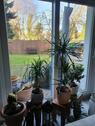Foto - Einfamilienhaus zum Kaufen in Bochum