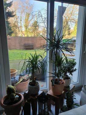 Foto - Einfamilienhaus zum Kaufen in Bochum