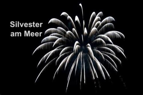 Foto - Silvester Weihnachten Ferienwohnungen mit Hund Ostsee Wendtorf ab