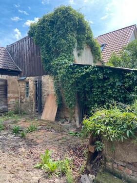 Foto - Einfamilienhaus zum Kaufen in Greußen