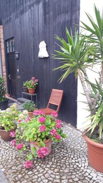 Foto - Etagenwohnung in Quedlinburg zur Miete