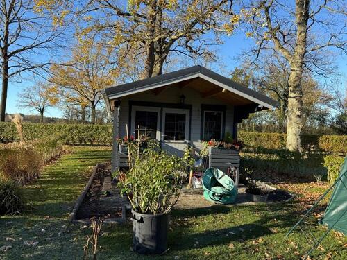 Foto - 4 Zimmer Erdgeschoßwohnung in Gelting